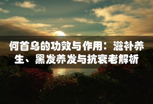 何首乌的功效与作用：滋补养生、黑发养发与抗衰老解析