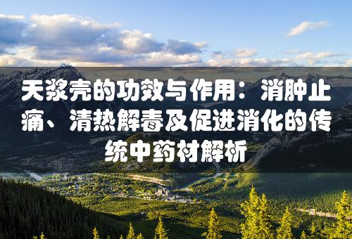 天浆壳的功效与作用：消肿止痛、清热解毒及促进消化的传统中药材解析