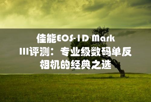 佳能EOS-1D Mark III评测：专业级数码单反相机的经典之选