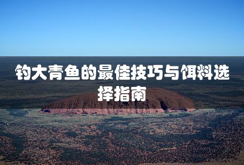 钓大青鱼的最佳技巧与饵料选择指南