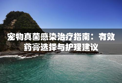 宠物真菌感染治疗指南：有效药膏选择与护理建议