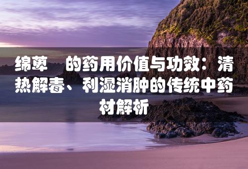 绵萆薢的药用价值与功效：清热解毒、利湿消肿的传统中药材解析