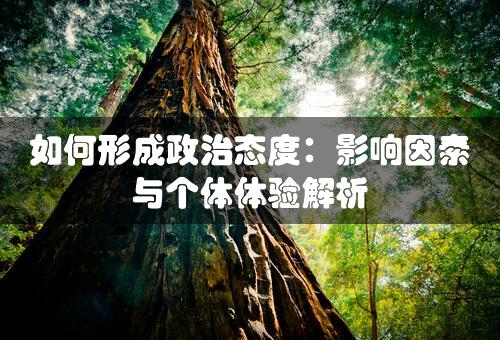 如何形成政治态度：影响因素与个体体验解析