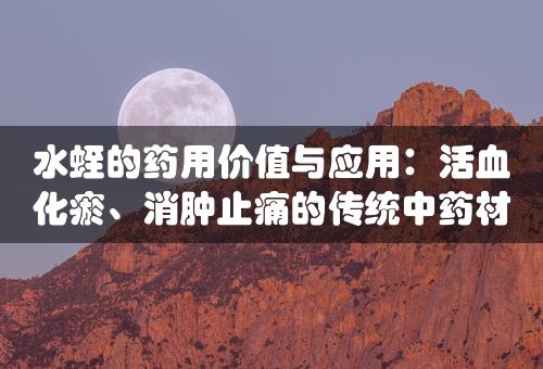 水蛭的药用价值与应用：活血化瘀、消肿止痛的传统中药材