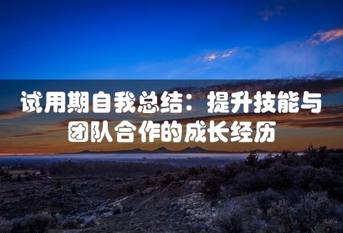 试用期自我总结：提升技能与团队合作的成长经历