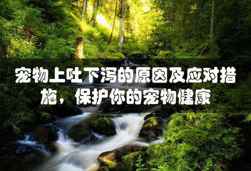 宠物上吐下泻的原因及应对措施，保护你的宠物健康