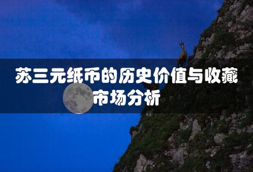 苏三元纸币的历史价值与收藏市场分析