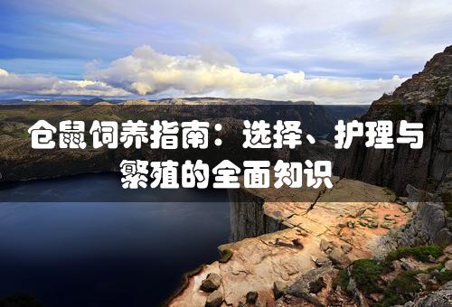 仓鼠饲养指南：选择、护理与繁殖的全面知识