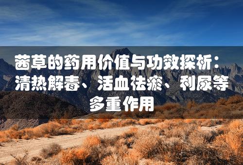 茜草的药用价值与功效探析：清热解毒、活血祛瘀、利尿等多重作用