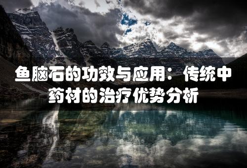 鱼脑石的功效与应用：传统中药材的治疗优势分析