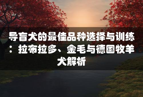 导盲犬的最佳品种选择与训练：拉布拉多、金毛与德国牧羊犬解析