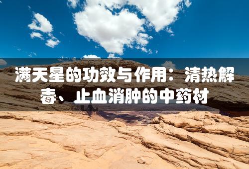 满天星的功效与作用：清热解毒、止血消肿的中药材