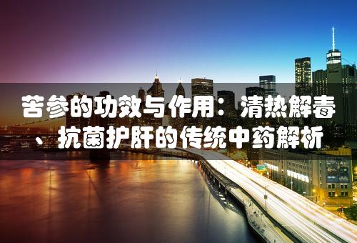 苦参的功效与作用：清热解毒、抗菌护肝的传统中药解析