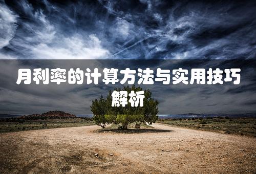 月利率的计算方法与实用技巧解析