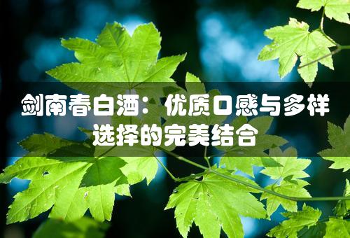 剑南春白酒：优质口感与多样选择的完美结合