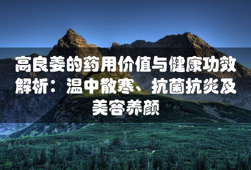 高良姜的药用价值与健康功效解析：温中散寒、抗菌抗炎及美容养颜