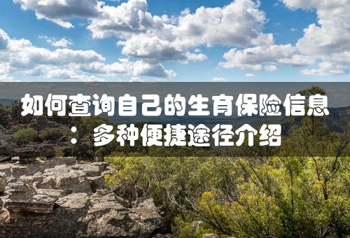 如何查询自己的生育保险信息：多种便捷途径介绍