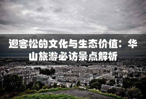 迎客松的文化与生态价值：华山旅游必访景点解析