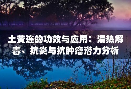 土黄连的功效与应用：清热解毒、抗炎与抗肿瘤潜力分析