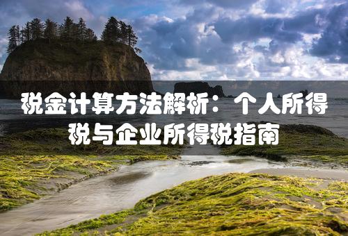 税金计算方法解析：个人所得税与企业所得税指南