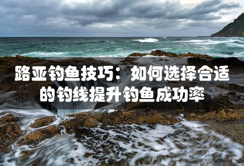 路亚钓鱼技巧：如何选择合适的钓线提升钓鱼成功率