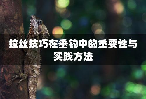 拉丝技巧在垂钓中的重要性与实践方法