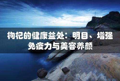 枸杞的健康益处：明目、增强免疫力与美容养颜