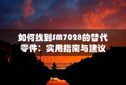 如何找到SM7028的替代零件：实用指南与建议