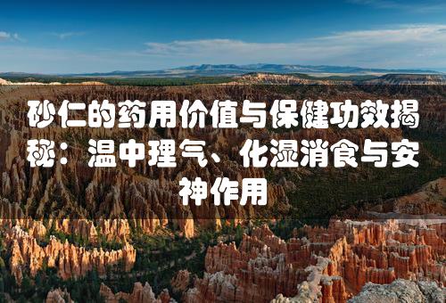 砂仁的药用价值与保健功效揭秘：温中理气、化湿消食与安神作用