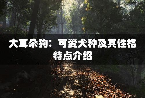 大耳朵狗：可爱犬种及其性格特点介绍