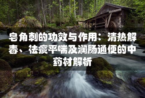 皂角刺的功效与作用：清热解毒、祛痰平喘及润肠通便的中药材解析