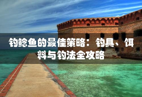 钓鲶鱼的最佳策略：钓具、饵料与钓法全攻略