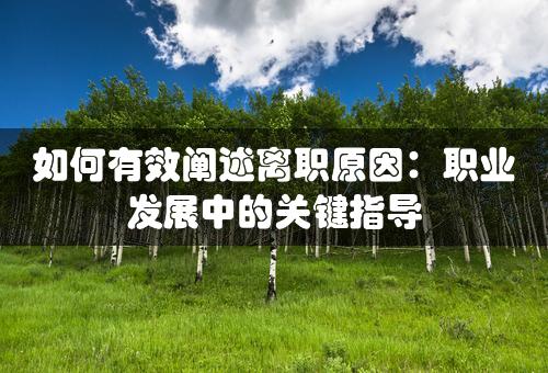 如何有效阐述离职原因：职业发展中的关键指导