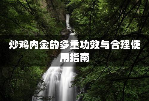 炒鸡内金的多重功效与合理使用指南