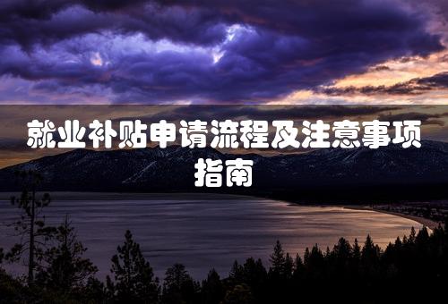 就业补贴申请流程及注意事项指南