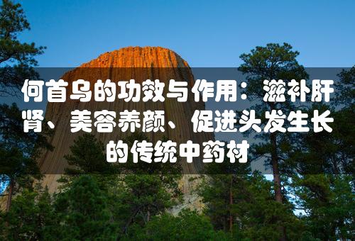 何首乌的功效与作用：滋补肝肾、美容养颜、促进头发生长的传统中药材