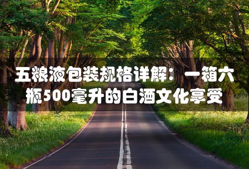 五粮液包装规格详解：一箱六瓶500毫升的白酒文化享受