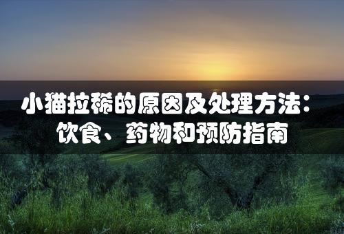 小猫拉稀的原因及处理方法：饮食、药物和预防指南