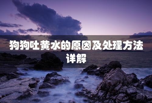 狗狗吐黄水的原因及处理方法详解