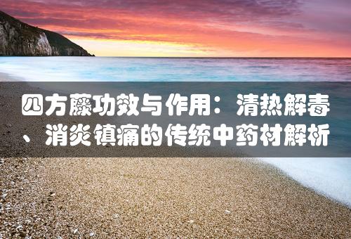 四方藤功效与作用：清热解毒、消炎镇痛的传统中药材解析