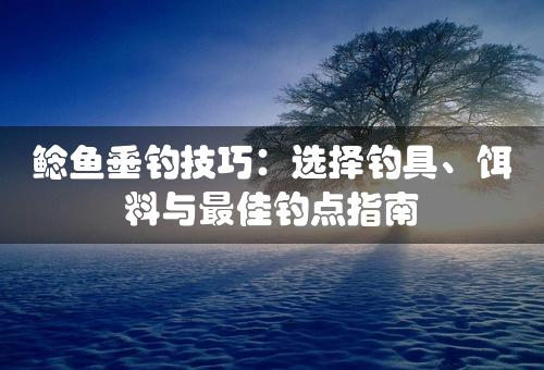 鲶鱼垂钓技巧：选择钓具、饵料与最佳钓点指南