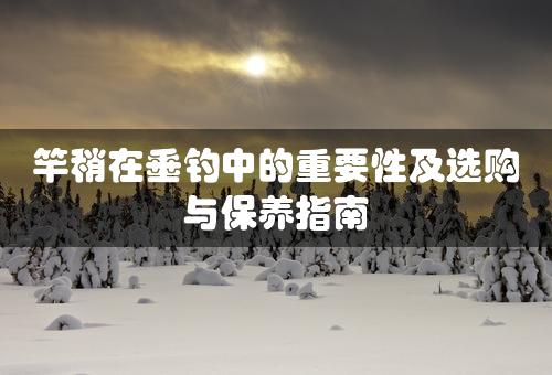 竿稍在垂钓中的重要性及选购与保养指南