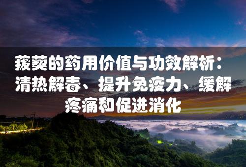 菝葜的药用价值与功效解析：清热解毒、提升免疫力、缓解疼痛和促进消化