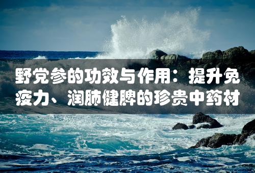 野党参的功效与作用：提升免疫力、润肺健脾的珍贵中药材