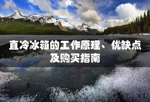 直冷冰箱的工作原理、优缺点及购买指南