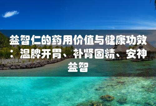 益智仁的药用价值与健康功效：温脾开胃、补肾固精、安神益智