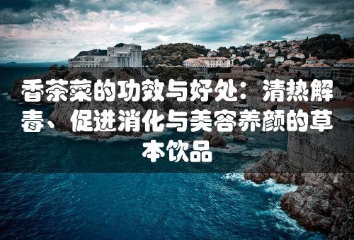 香茶菜的功效与好处：清热解毒、促进消化与美容养颜的草本饮品