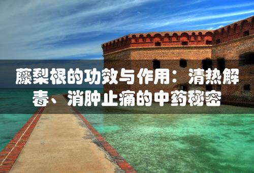 藤梨根的功效与作用：清热解毒、消肿止痛的中药秘密