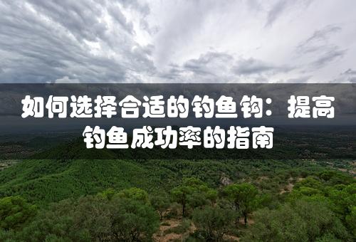 如何选择合适的钓鱼钩：提高钓鱼成功率的指南