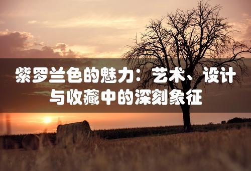 紫罗兰色的魅力：艺术、设计与收藏中的深刻象征